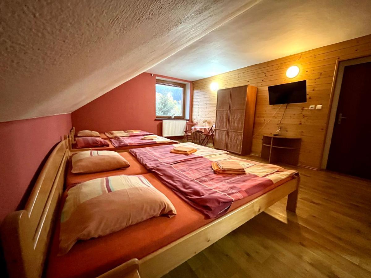 Penzion Horal Hotel Dolní Morava Eksteriør billede