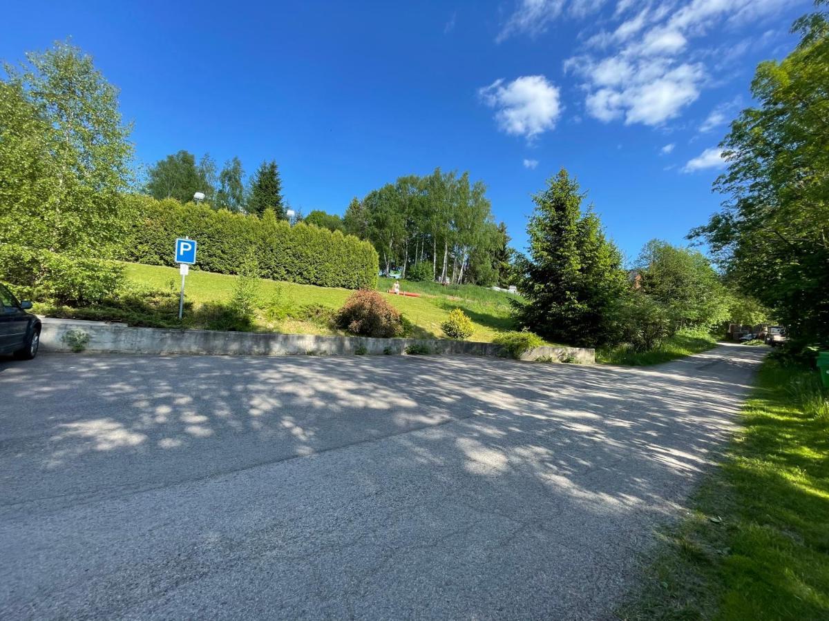 Penzion Horal Hotel Dolní Morava Eksteriør billede