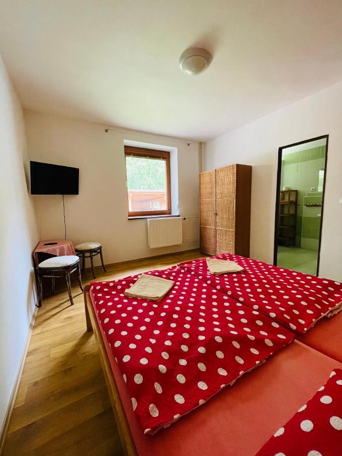 Penzion Horal Hotel Dolní Morava Eksteriør billede