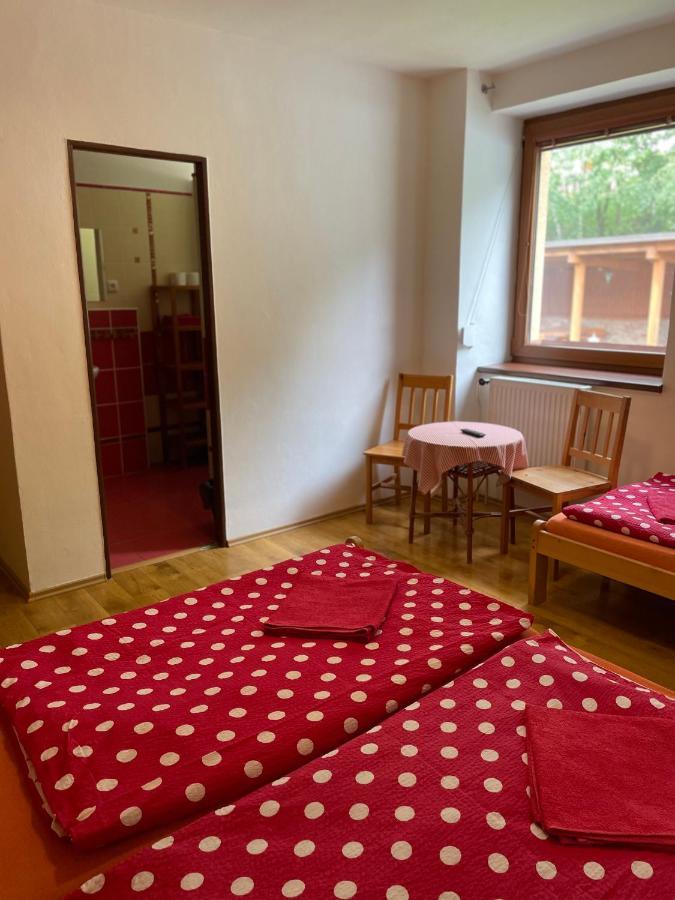 Penzion Horal Hotel Dolní Morava Eksteriør billede