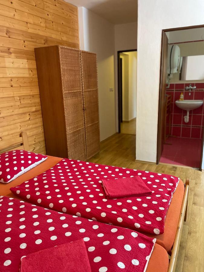 Penzion Horal Hotel Dolní Morava Eksteriør billede